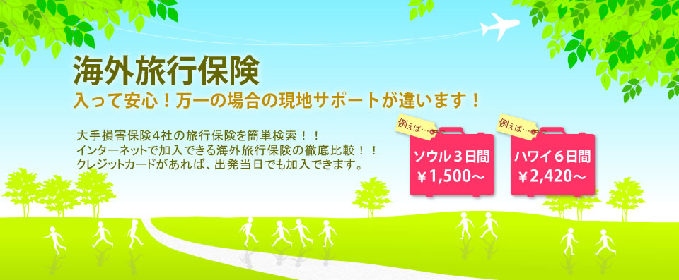 海外旅行保険 ※上記は個人プランの保険料目安です。商品の内容等詳細は各保険会社のペー... |保