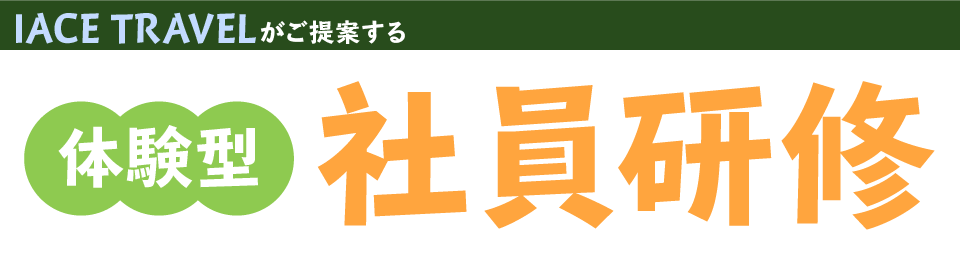 IACE TRAVEL がご提案する体験型社員研修