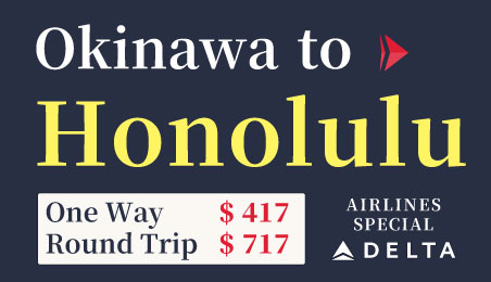 DELTA AIRLINES SPECIAL