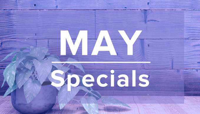 may_sp