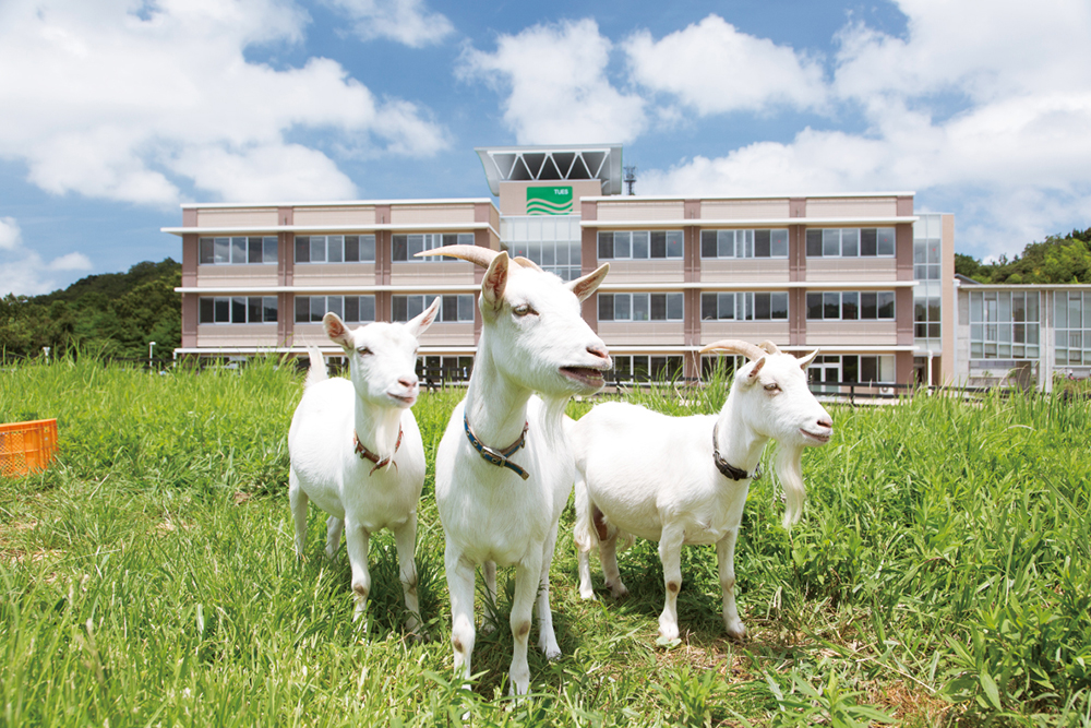 公立大学法人 公立鳥取環境大学様